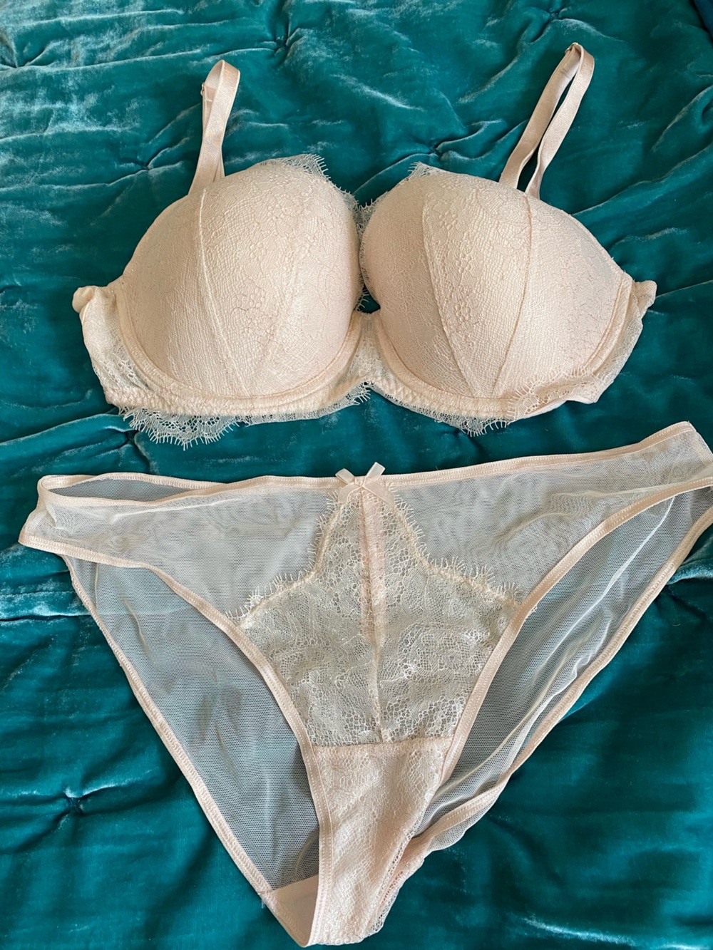 Victoria's Secret Sheer Lace Push-Up Bra & Bikini Set - pale pink
